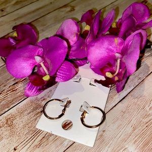 Brand new gold express hoop earrings